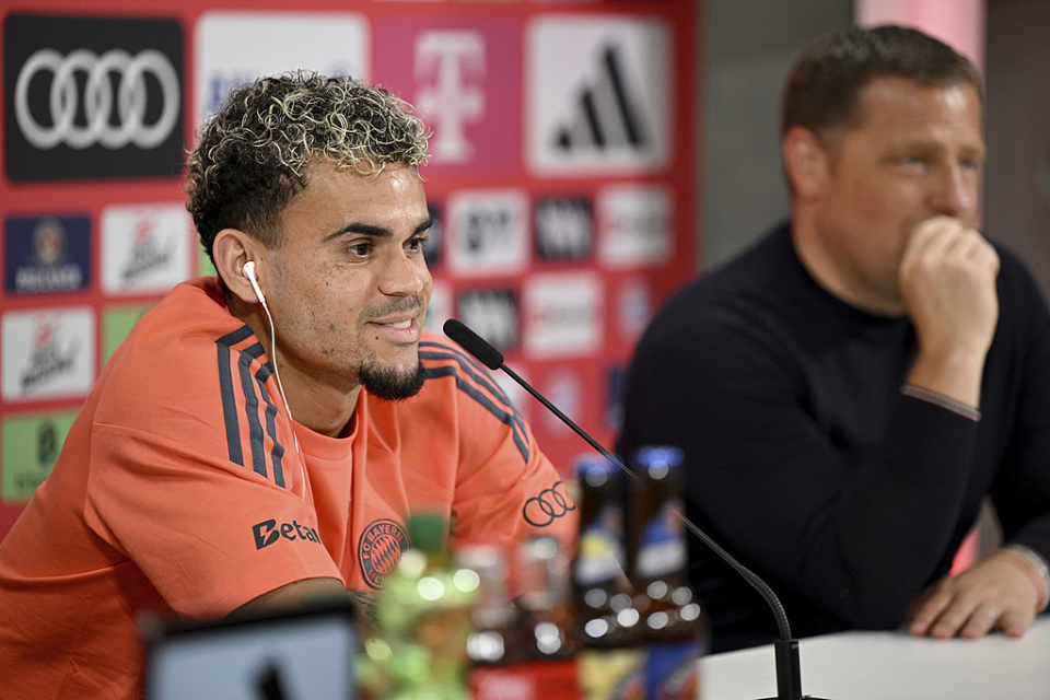 莱默尔, WHMxz, 亿元