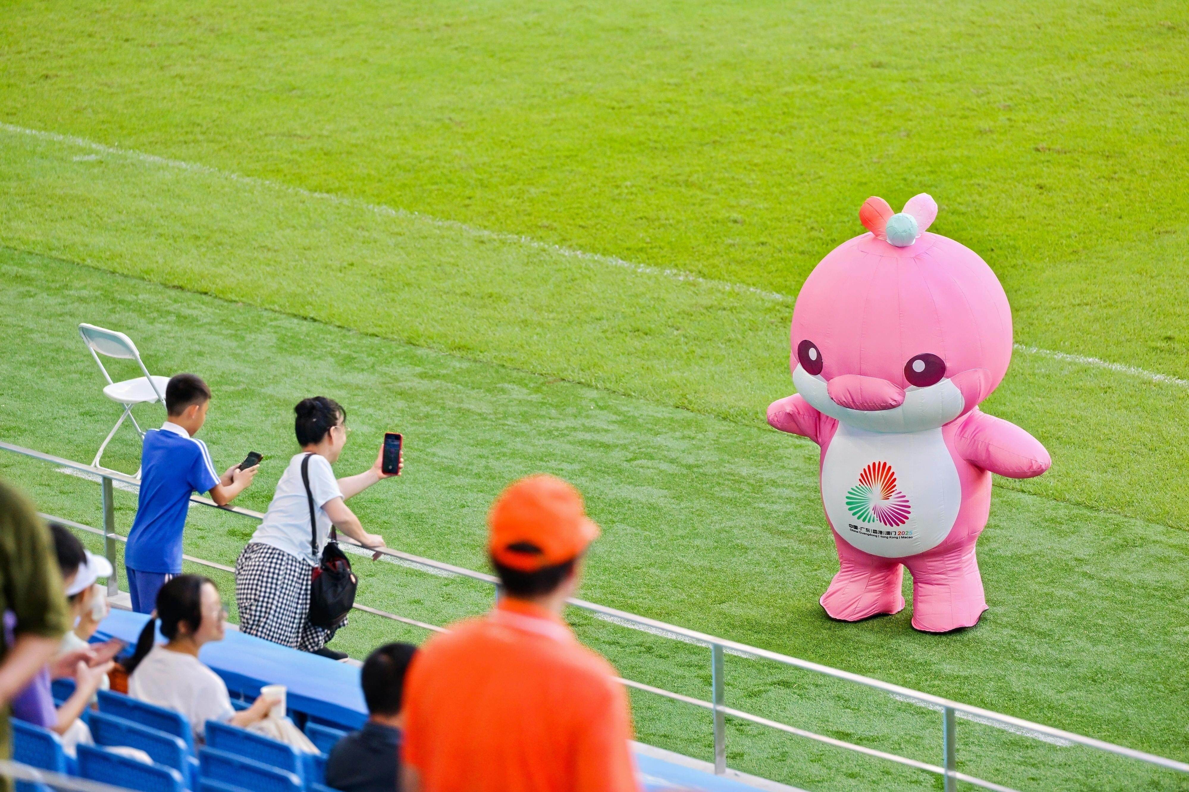 更从容, 名小海豚各, 小海豚 更从容, 名小海豚各, 小海豚