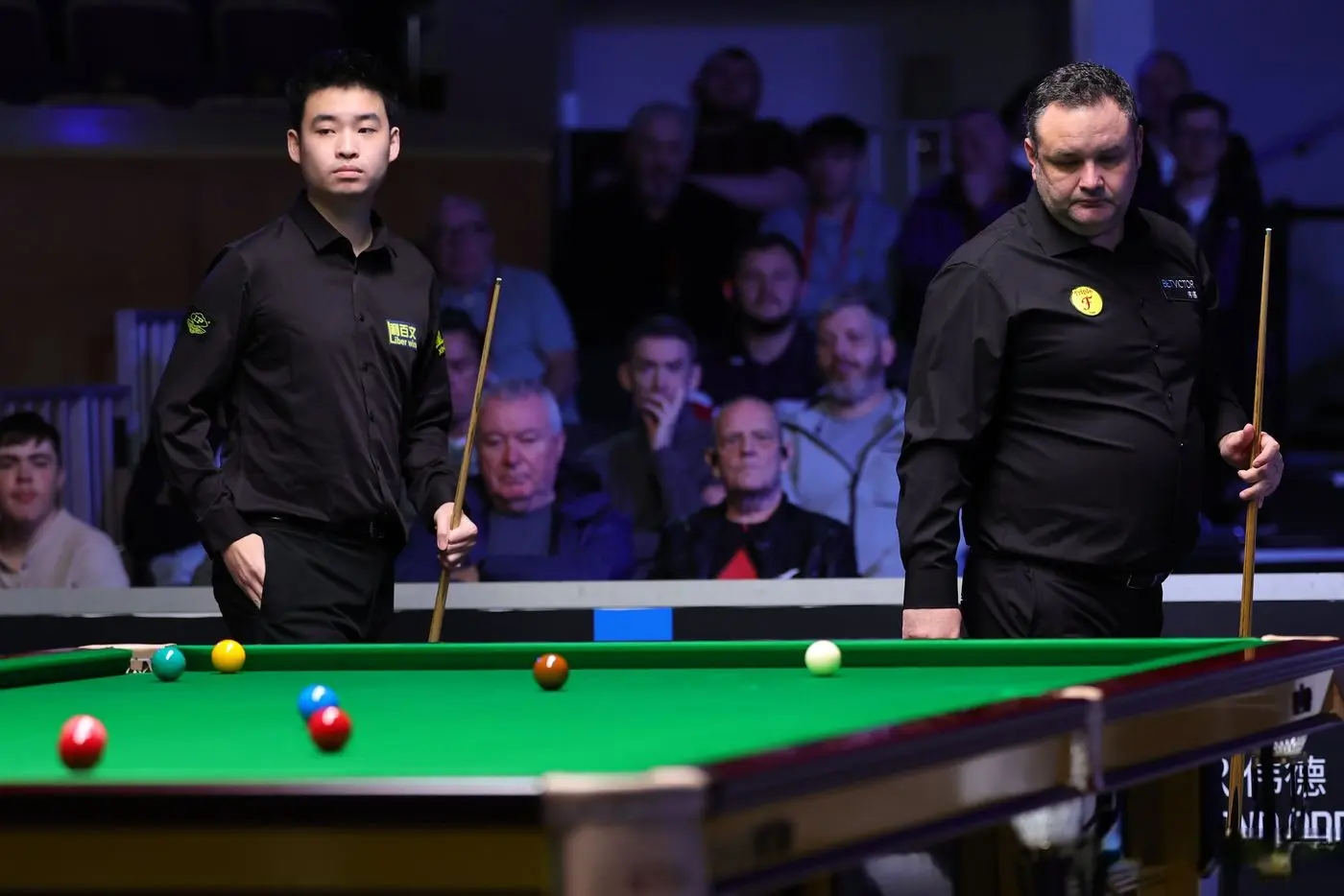 amp, 但马奎尔对 amp, 但马奎尔对