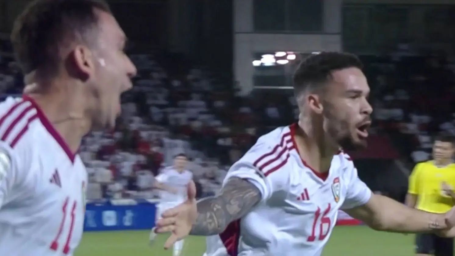 他们终于醒, msn, img 他们终于醒, msn, img