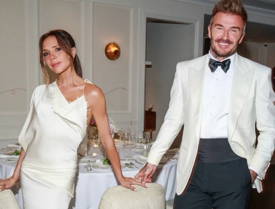 会为他准备, 我们会做些, 乐趣的 会为他准备, 我们会做些, 乐趣的